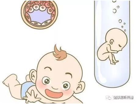 专家